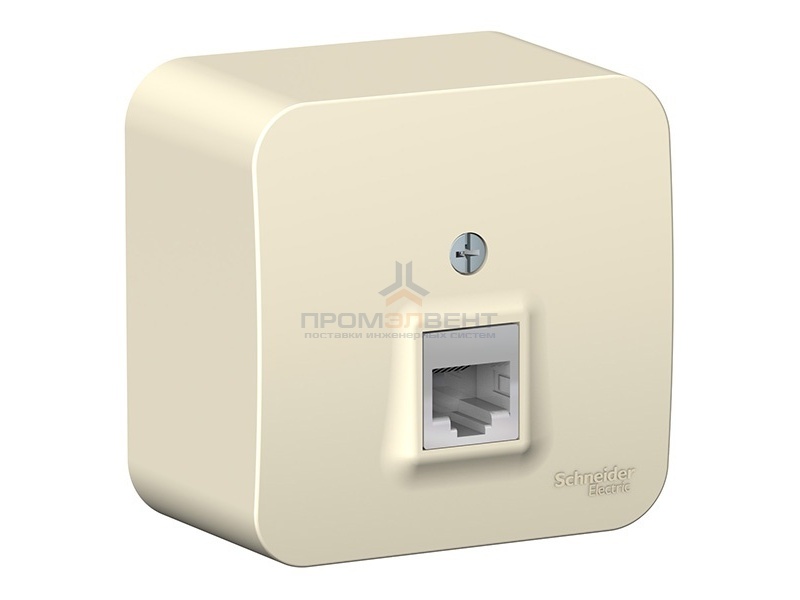 Розетка телефонная RJ11 Blanca Schneider Electric молочная изол.пластина